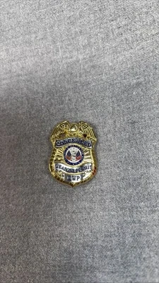 Золотой значок CWP булавка на лацкан 2-я поправка пистолет разрешение на скрытое оружие  - Изображение 1 из 4