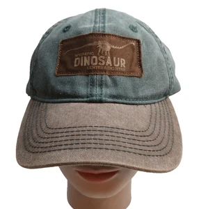 Gorra/sombrero de bola para centro y sitios de excavación de dinosaurios de Wyoming - Imagen 1 de 12