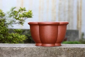 Fioriera Zisha Naturale Yixing Cinese 11,4in, Bonsai Artigianale da Collezione - Foto 1 di 6