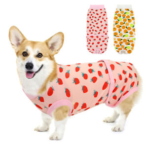 Pet Dog Recovery Bodysuit One-piece Surgery Suit Anxiety Relief Surgery Jumpsuit