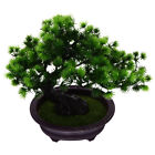 Knstlicher Bonsai Baum, Japanische Kiefer, 10 Zoll, Deko