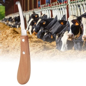 (Einförmige Linke Hand)Hufmesser Hochfeste Ergonomische Hufbearbeitung Zum - Afbeelding 1 van 11