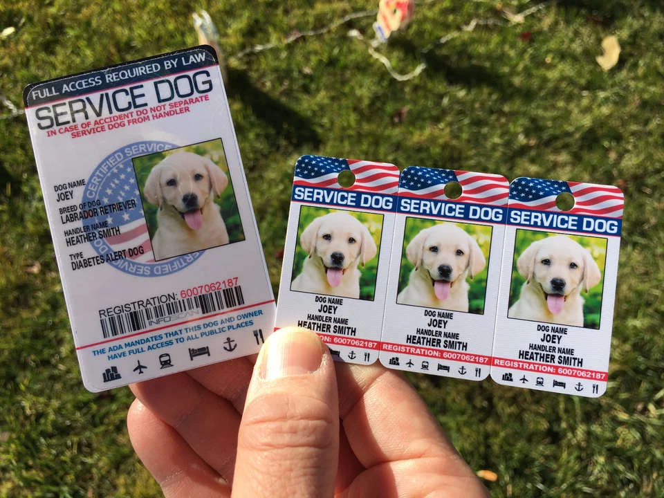 Service Dog Customized Holographic Id Card + Keychain Collar TAG  ESA - Image 1 of 1