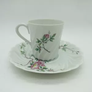 Taza y platillo Haviland France Limoges DE COLECCIÓN porcelana Eglantine Torse Demitasse - Imagen 1 de 9