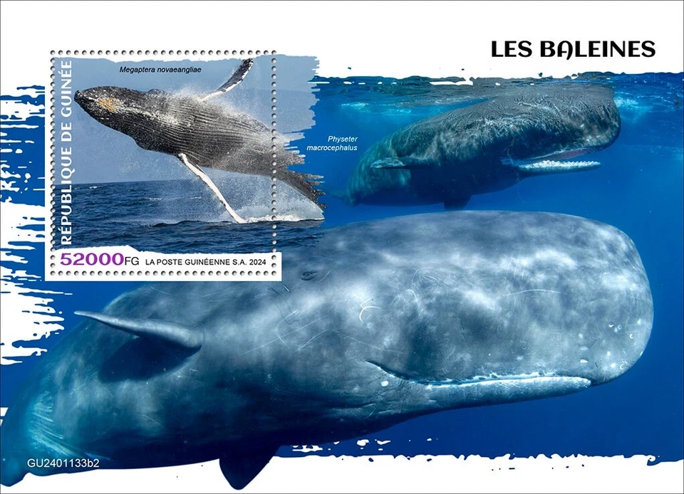 Киты марки Гвинея 2024 как новые без наклеек и следов - Изображение 1 из 1