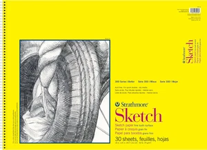 300 Series Sketch Pad, 18x24 inch, 30 Sheets, Side Wire - Artist Sketchbook for - Picture 1 of 12