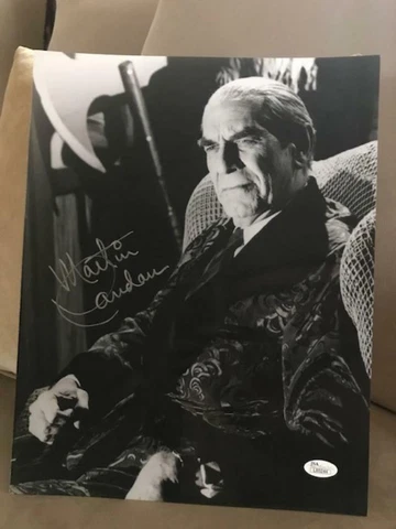 MARTIN LANDAU HAND SIGNED OVERSIZED 11x14 PHOTO      GREAT POSE  ED WOOD    JSA Cover