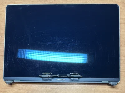 Apple LCD Assembly MacBook Pro RETINA 15" 2018 2019 A1990 Silver LCDA250 - Bild 1 von 4