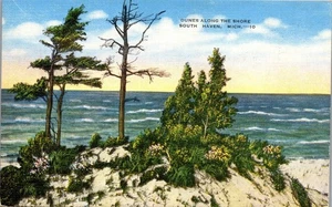 Vintage MI Postcard Sand Dunes Along Shore South Haven Lake Michigan - Picture 1 of 3