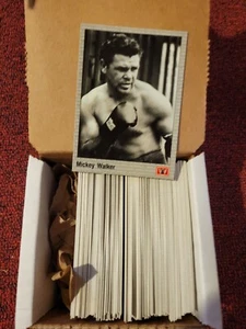1991 All World Boxing Lot 125+ Cards Base Duplicates Burns Williams Attell AWB - Picture 1 of 1