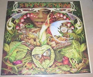 SPYRO GYRA - Morning Dance (LP, 1979) Very Good+ - Picture 1 of 1