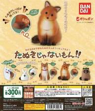 It's Not a Raccoon Dog All 5 types Set Gacha Capsule Toy Japan Fox Shiba Inu