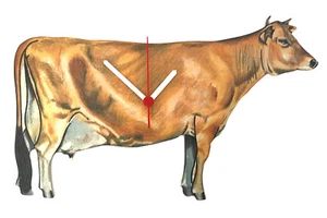 Jersey Cow Clock - Jersey Cows - Jersey Cow Farming Cow Clocks OF21-C - Picture 1 of 3