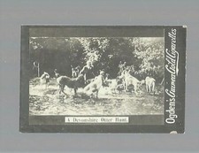 1902 OGDEN'S GUINEA GOLD  A DEVONSHIRE OTTER HUNT  EX  GENERAL INTEREST  TOBACCO