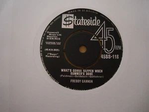 FREDDY CANNON, WHATS GONNA HAPPEN WHEN SUMMERS GONE, STATESIDE RECORDS MINT- - Picture 1 of 2