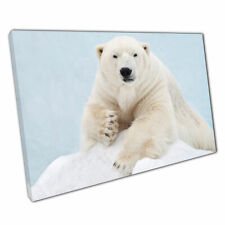 Polar Bear In Snow Wildlife Nature Photography Wall Art Print On Canvas