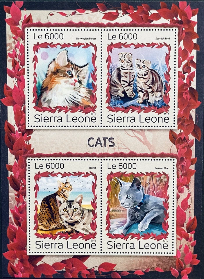 SIERRA LEONE CATS STAMPS 2016 MNH CAT PET ANIMALS FAUNA OCICAT NORWEGIAN FOREST - Image 1 of 1
