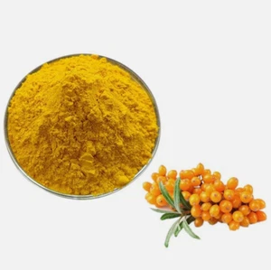 Súper alimentos frescos crudos en polvo de fruta de espino cerval de mar 100 g-500 g naturales 100 g - Imagen 1 de 2