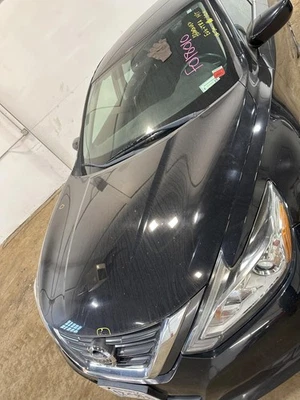 Used Hood fits: 2017 Nissan Altima Sdn Grade B - Image 1 of 4