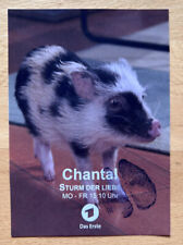 Schweinchen Chantal AK ARD Sturm der Liebe Foto-Autogrammkarte drucksigniert