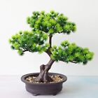 Kunstlicher Pflanzen Bonsai Simulation Kiefer Baum Topf Heimdekoration