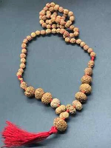 1 to 14 Mukhi Rudraksha Gauri Shankar Ganesha Rudraksh Mala, Siddha Java Beads - Picture 1 of 5