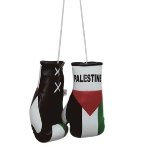 Palestine Boxing Glove / Palestine Flag / Palestine Flag Boxing Glove - Picture 1 of 5