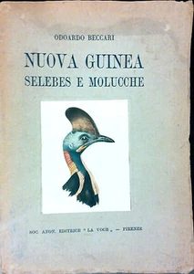 NUOVA GUINEA SELEBES E MOLUCHE DI EDOARDO BECCARI - Picture 1 of 21