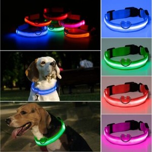dog collar strobe light