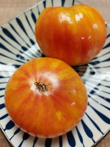 Marz Amarillo Rosa Rayas Tomate - Carne de res Tomate - 5+ semillas - Semillas - P 537 - Imagen 1 de 1