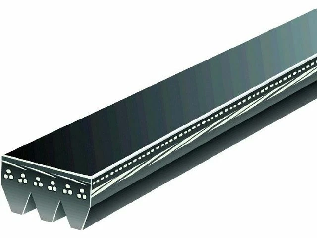 Correa de dirección asistida multi costilla para Toyota Celica 1995-1998 2,2 L 4 cilindros GAS R523HG Foto 1 de 1