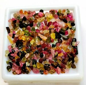   Natural Tourmaline Small Size Multi Color Polished Rough 10.60 Ct Gemstone Lot
