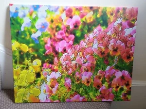 Countryside Flowers fine art Photo Print - Original - Picture 1 of 2