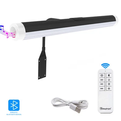 Luz de imagen LED inalámbrica de 18 pulgadas con control remoto y altavoz Bluetooth, recargable Foto 1 de 4
