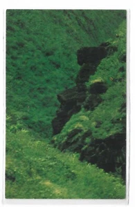 Postal de Colección John F Kennedy Semejanza en Formación Rocosa de Lava Natural Hawai - Imagen 1 de 2