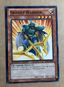 Trident Warrior YS12-EN012 - LP - Picture 1 of 1