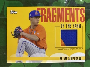 Topps Pro 2020 debut Brian Campusano Fragmentos de la reliquia de la granja #FF-FDF NY Mets - Imagen 1 de 2