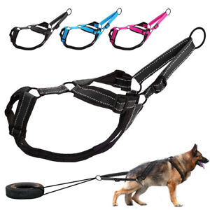 Pet Dog Weight Pulling Harness Training X Back Work Vest for Medium Large Dogs