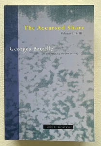 The Accursed Share: An Essay on General Economy Vol. I, II & III by G. Bataille - Picture 1 of 20