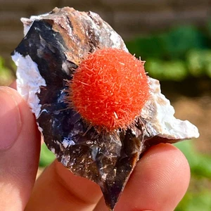 Cristallo di quarzo zeolite tarassaco indiano 30G esemplare minerale a grappolo - Foto 1 di 12