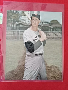 8 x 10   Color Photo of TED  WILLIAMS Boston Red Sox Legend  item 2 - Picture 1 of 2