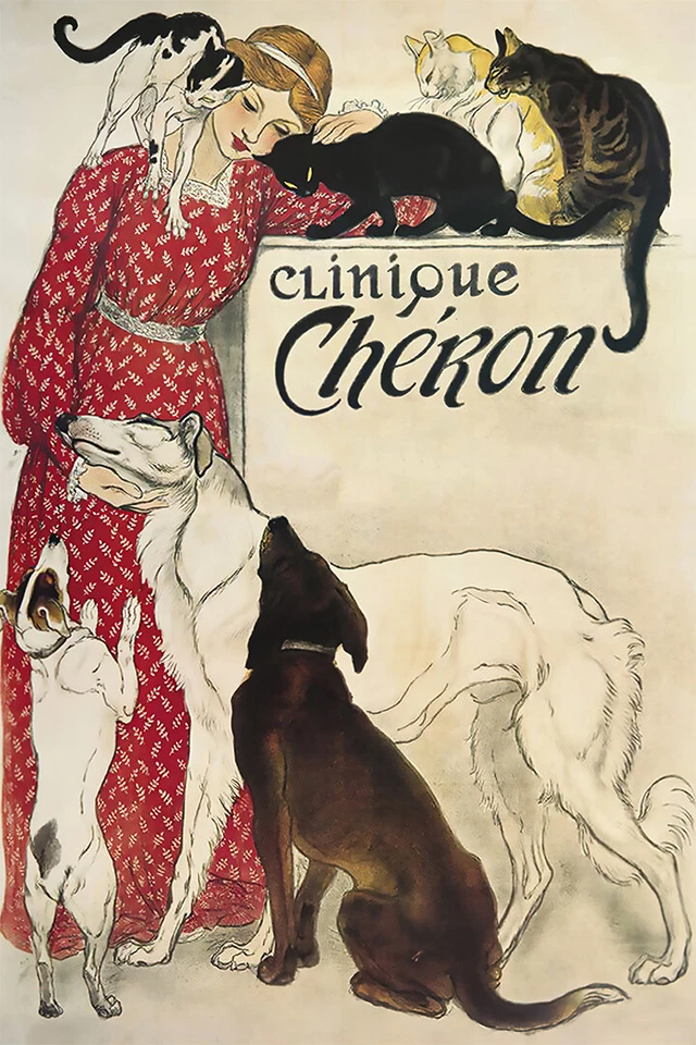Póster de pared Clinique Cheron medicina veterinaria y arte hotelero - PÓSTER 20x30 Foto 1 de 4