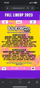 2 Karten für Lollapalooza in Berlin - Bild 1 von 1
