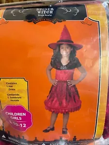 SPIDER WITCH GIRLS L 10-12 CONTAINS 1 HAT AND DRESS PRE OWNED - Picture 1 of 1