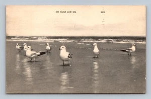Möwen und das Meer Postkarte - Bild 1 von 2