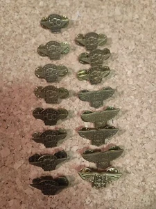 HOG Ladies of Harley Davidson Brass Wing Pin Lot 2005 - 2019 -Lot of 16 And 2003 - Picture 1 of 8
