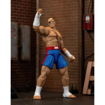 Figura de acción Ultra Street Fighter II Sagat escala 6 pulgadas de lujo Foto 1 de 4