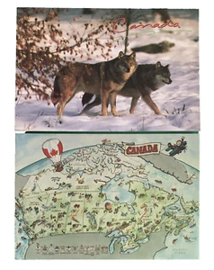 Hermosa postal vintage de The Timber Wolf 2 años 80 - sin usar - Imagen 1 de 2