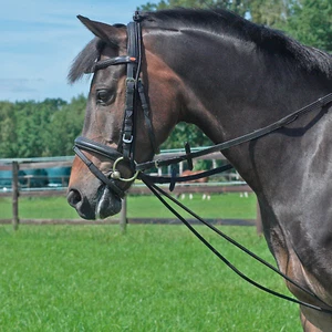 Halsverlängerer Longierzügel Ausbinder Ausbindezügel Hilfszügel Shetty Pony - Bild 1 von 2