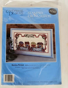 Candamar Designs Stamped Cross Stitch Kit "Berries Picture" #20450 20" x 10" NEW - Picture 1 of 3
